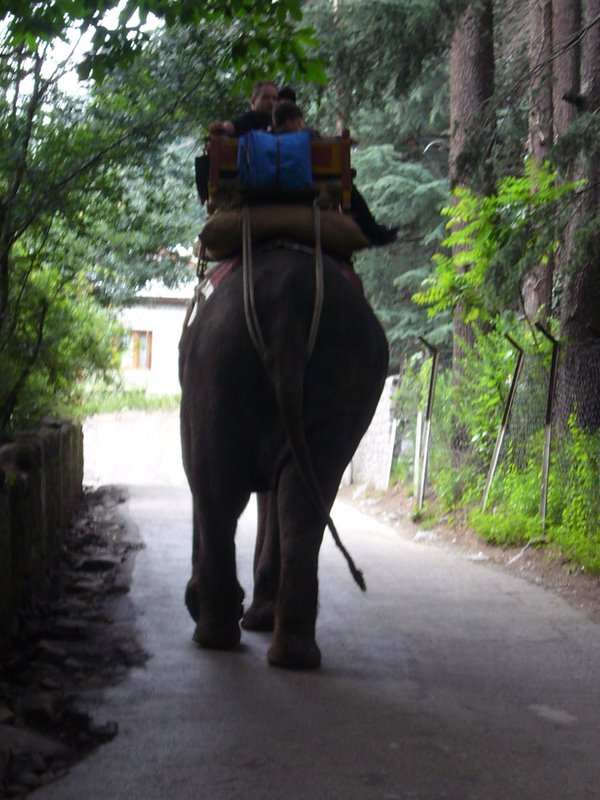 Travel - India - Himachal Pradesh - Manali
